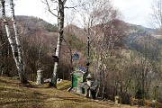 36 Alte betulle al roccolo